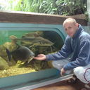 ���������� ��������, ���� ������� Pushkin163, 47 ���, ������������ ��� ������