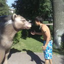 ���������� ������, ���� ������� ����, 35 ���, ������������ ��� ������