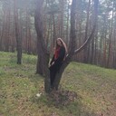  ,   , 24 ,   c 