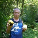  ,   , 66 ,   ,   