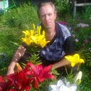  ,   , 52 ,   ,   