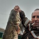 ���������� ����������, ���� ������� ���������, 46 ���, ������������ ��� ������, ����� � ���������, c�������� ���������