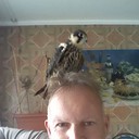  ,   , 61 ,   ,   , c 