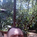  ,   , 40 ,   