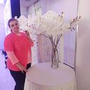 ���������� �����, ���� ������� �������, 38 ���, ������������ 