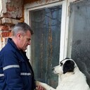 ���������� �����, ���� ������� ������, 52 ����, ������������ ��� c�������� ���������, ���������