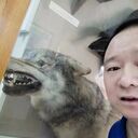 ���������� ������������, ���� ������� �����, 34 ����, ������������ ��� ������, ����� � ���������