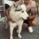 ���������� ������������, ���� ������� ���, 27 ���, ������������ ��� c�������� ���������