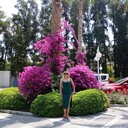 ���������� ������, ���� ������� ��������, 43 ����, ������������ ��� c�������� ���������