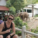 ���������� ������, ���� ������� ���������, 29 ���, ������������ ��� ������, ����� � ���������, c�������� ���������, ���������