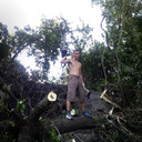 ���������� ������, ���� ������� ������, 36 ���, ������������ ��� ������, ����� � ���������, c�������� ���������