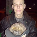 ���������� ��������, ���� ������� ����, 44 ����, ������������ ��� ������