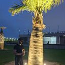 ���������� ������, ���� ������� ���, 27 ���, ������������ ��� ������, ����� � ���������