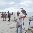  deleted,   , 55 ,   ,   