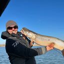 ���������� ��������, ���� ������� ������, 35 ���, ������������ ��� ������, ����� � ���������