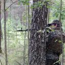 ���������� �����, ���� ������� ����, 37 ���, ������������ ��� ������, ����� � ���������, c�������� ���������