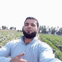 ���������� ���������, ���� ������� ������, 31 ���, ������������ ��� ������, ����� � ���������