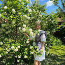 ���������� ������, ���� ������� �����, 50 ���, ������������ ��� ����� � ���������, c�������� ���������