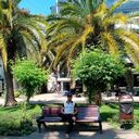 ���������� �����-���������, ���� ������� ��������, 34 ����, ������������ ��� ������, ����� � ���������