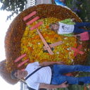  ,   9090632378, 46 ,   