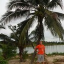 ���������� �����������, ���� ������� ����, 33 ����, ������������ ��� c�������� ���������