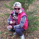  ,   , 53 ,     , 