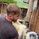 ���������� Ch'ongju, ���� ������� ������, 30 ���, ������������ ��� ������, ����� � ���������