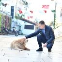 ���������� ������, ���� ������� �����, 38 ���, ������������ ��� ������, ����� � ���������