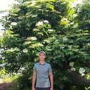  ,   Valdemar, 34 ,   ,   , c , 