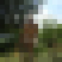  ,   , 63 ,   