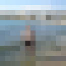  ,   Leon, 51 ,   ,   , c 