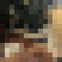 ���������� ���������, ���� ������� ���, 42 ����, ������������ ��� ������, ����� � ���������, c�������� ���������