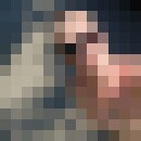 ���������� ������, ���� ������� ������, 37 ���, ������������ ��� ����� � ���������, c�������� ���������