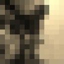 ���������� �������, ���� ������� Chad, 44 ����, ������������ ��� ������, ����� � ���������, c�������� ���������, ���������