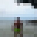 ���������� �����-���������, ���� ������� ����, 47 ���, ������������ ��� ����� � ���������