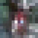   ,   NATAN, 43 ,   ,   , c , 