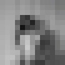 ���������� �����, ���� ������� �����, 20 ���, ������������ ��� c�������� ���������