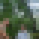  ,   , 31 ,   ,   , c , 