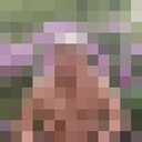  ,   , 46 ,   ,   , 