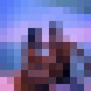 ���������� ��������, ���� ������� �������, 31 ���, ������������ ��� ������, ����� � ���������