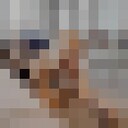 ���������� �����-���������, ���� ������� ��������, 23 ����, ������������ ��� ������, ����� � ���������