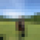 ���������� ���������, ���� ������� ������, 39 ���, ������������ ��� ������, ����� � ���������, c�������� ���������