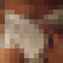 ���������� �����������, ���� ������� ������, 29 ���, ������������ ��� ������, ����� � ���������, c�������� ���������