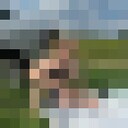  Raszyn,   , 36 ,   ,   , c , 