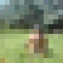  ,   Diamo, 49 ,   