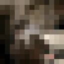  ,   Liu, 18 ,   ,   