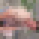  ,   , 39 ,   ,   