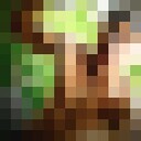  ,   , 30 ,   ,   , c , 