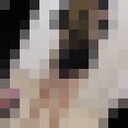 ���������� ������������, ���� ������� ����, 21 ���, ������������ ��� ������, ����� � ���������, c�������� ���������, ���������