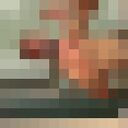 ���������� ����, ���� ������� ����, 39 ���, ������������ ��� ����� � ���������, c�������� ���������